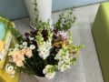 오아시스약국 이야기54