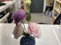 오아시스약국(24시) 이야기 52