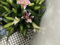 오아시스약국(24시) 이야기 54